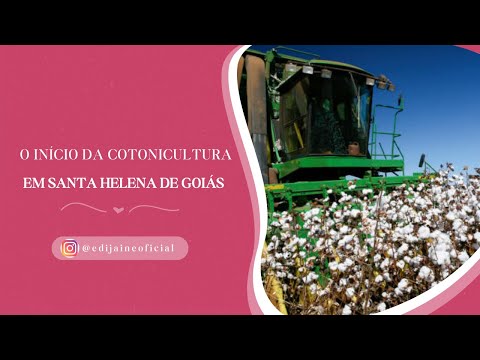 O INÍCIO DA COTONICULTURA EM SANTA HELENA DE GOIÁS. #curiosidades  #vocesabia #historias