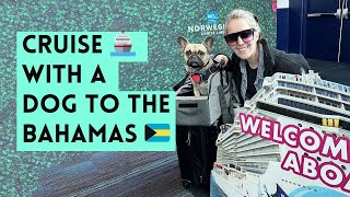 Cruising with Dogs to the Bahamas 🇧🇸: Everything You Need (Part 1)