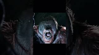 Rocket vs Maurice planet of the apes #edit