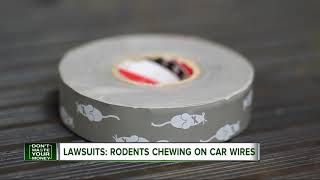 Beware of rodents chewing your car