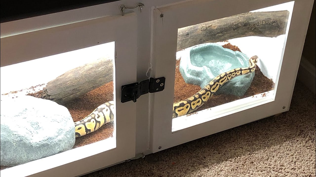 My DIY Ball Python Enclosure| Future Enclosure| Future snakes