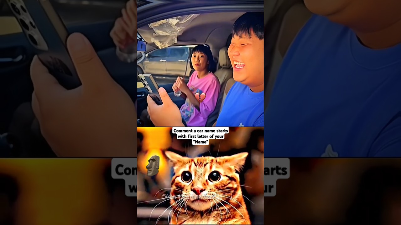 SHE SOLVED THE PROBLEM 🗿 #cat #memes #dance