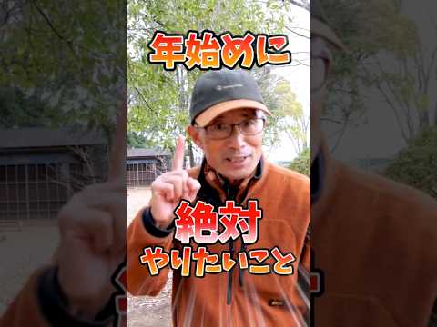 この夏の果物や野菜の発育を促進するために、菜園で木の灰をどのように使用しますか?  庭園
