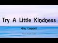 Glen Campbell - Try A Little Kindness