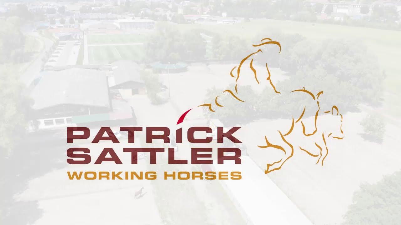 Patrick Sattler Working Horses Sinsheim