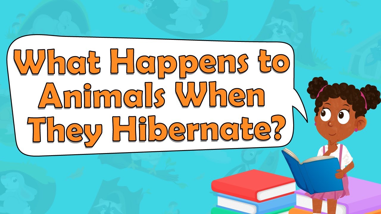 What Happens to Animals When They Hibernate? | Animal Facts for Kids | Hibernation Facts