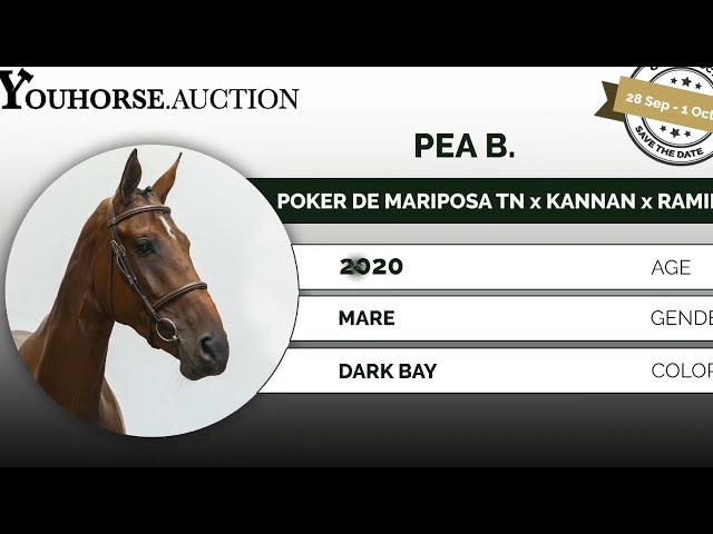Pea B. first time course