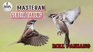 Download lagu 🔴MASTERAN GEREJA TARUNG GACOR NGEROL PANJANG mp3