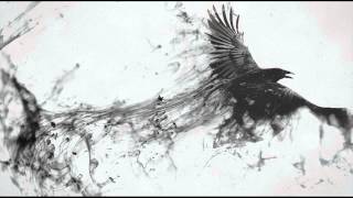 Aesop Rock - crows 2