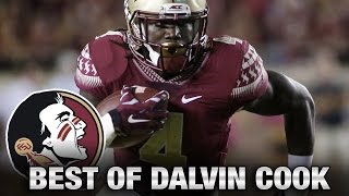 FSU'S Dalvin Cook's Best Plays vs Miami