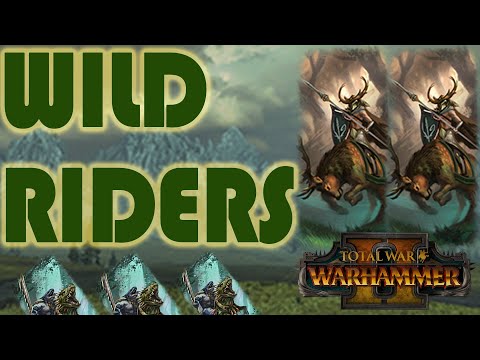 CORE UNIT: Wild Riders - Wood Elves vs Lizardmen // Total War: Warhammer II Multiplayer Battle