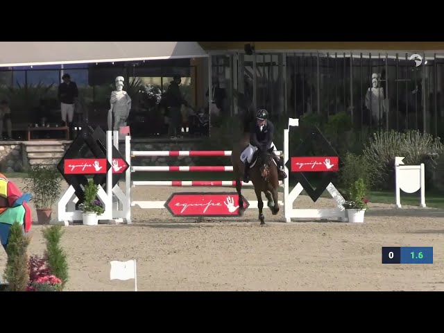 The half-brother of the mother of this frozen embryo is the CSI 1.55m jumping horse Mystique with rider Maksymilian Wechta.