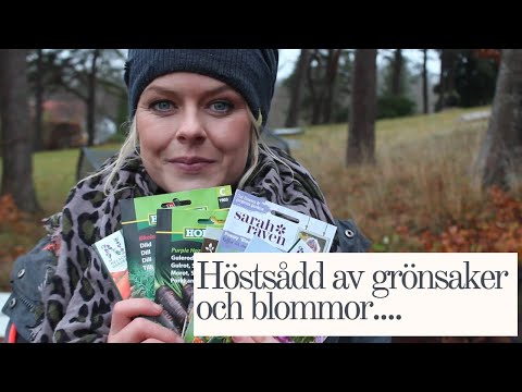 Höstsådd av Grönsaker och Blommor i November!