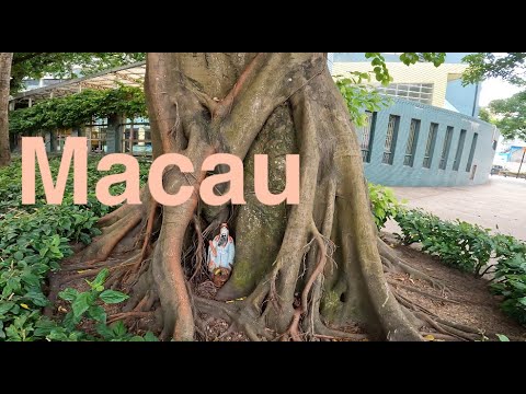 [4K] Walking Macau Streets: Anglican College 聖公會中學 + Travessa da Baía 海灣巷 Baia + Beco da Baía 海灣圍