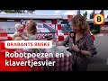 Robothuisdieren en klavertjesvier brengen geluk! | Brabants Buske