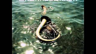 LaBrassBanda-Rotes Hoserl-Übersee