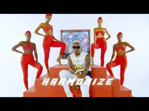 Harmonize X Rayvann - PARANAWE Official Video Analysis