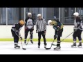 Forest Knights vs Vipers Ice Hockey (2nd Div) 