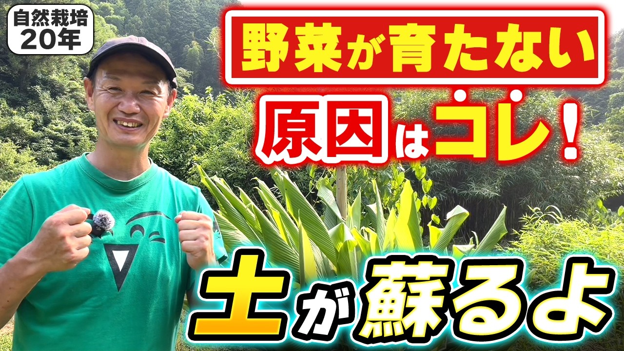 自然栽培で野菜が育たないときの対処法|土の再生と雑草が教える土壌のサイン