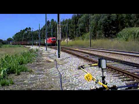 Comboio de Madeira nº 55362 - Amieira