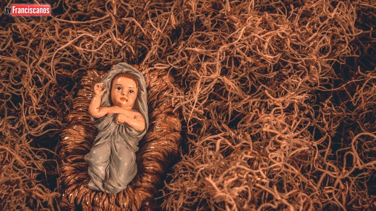 Palavra da Hora | Tempos de Paz