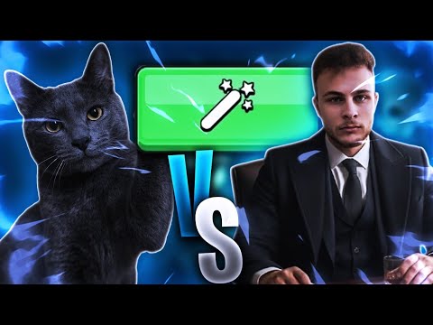 Kedimle Yeşil Butonda Vs Attık