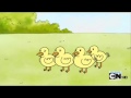 Bird Wmv