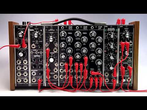 Tendrils Cables - 1/4" Right Angle (8 second photo morph - no sound)