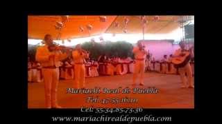 preview picture of video 'Mariachis df Azcapotzalco urgentes 47551610 -EL GUSTITO MARIACHI-'