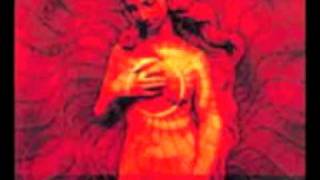 Trail of tears - The daughters of innocence