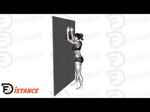 Avant-bras au foam roller contre le mur - Exercice Avant-bras au foam roller contre le mur en vidéo Avant-bras au foam roller contre le mur - Exercice Avant-bras au foam roller contre le mur en vidéo