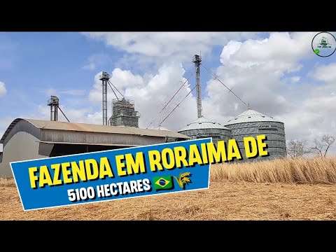 🔰 Fazenda em Roraima de 5100 hectares na região do Bonfim - Dupla aptidão agrícola 🌾