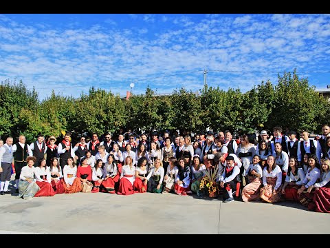 La Festa dell'Uva 2022