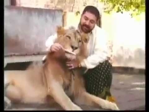 Teepu Pehlwan (Late) TruckanWala Lahore With his Lion