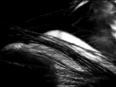 Andy Lund Music Video