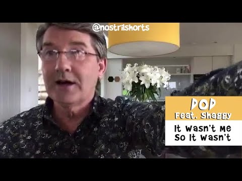 DOD Feat. Shaggy - It Wasn't Me So It Wasn't