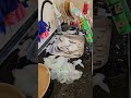Asmr Lavando Louça Shortrs