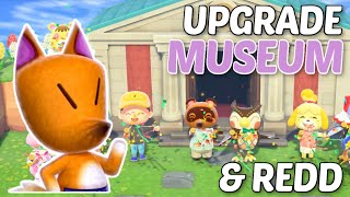 How To Find REDD and UPGRADE Your Museum In Animal Crossing New Horizons!