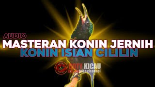 Download lagu masteran konin: full konin isian cililin jernih rapat dan tajam mp3