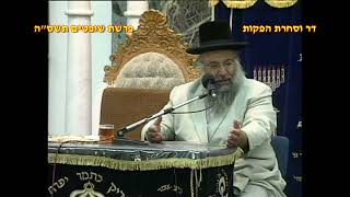 מרן רבנו עובדיה יוסף זצוק"ל זיע"א פרשת שופטים תשס"ה חודש אלול המקובל הגאון הרב בניהו שמואלי שליט"א (דר וסוחרת - הלוויין של מרן) - התמונה מוצגת ישירות מתוך אתר האינטרנט יוטיוב. זכויות היוצרים בתמונה שייכות ליוצרה. קישור קרדיט למקור התוכן נמצא בתוך דף הסרטון מרן רבנו עובדיה יוסף זצוק"ל זיע"א פרשת שופטים תשס"ה חודש אלול המקובל הגאון הרב בניהו שמואלי שליט"א (דר וסוחרת - הלוויין של מרן) - התמונה מוצגת ישירות מתוך אתר האינטרנט יוטיוב. זכויות היוצרים בתמונה שייכות ליוצרה. קישור קרדיט למקור התוכן נמצא בתוך דף הסרטון