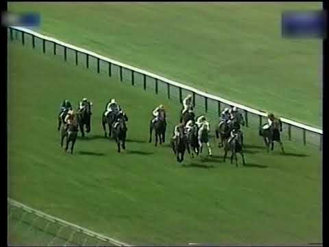 1981 William Hill July Cup