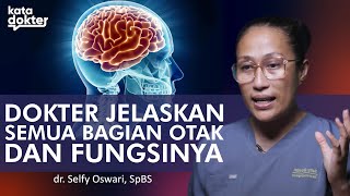 Download lagu Unboxing Otak Manusia: Apa Saja Bagian-Bagiannya? | Kata Dokter mp3