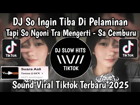 DJ SA INGIN TIBA DI PELAMINAN TAPI SO NGONO TRA MENGERTI || DJ SA CEMBURU MASPIN RMX VIRAL TIKTOK