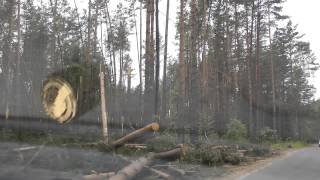 preview picture of video 'Поездка на дачу \ A trip to the nature, forest road 23.06.2012'