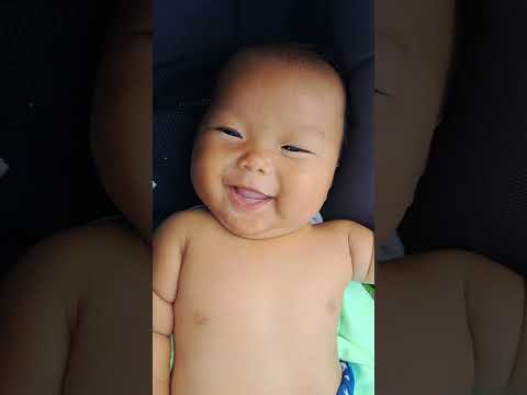 庭の池の保護 – 子供にとってより安全な池を作る方法  庭園