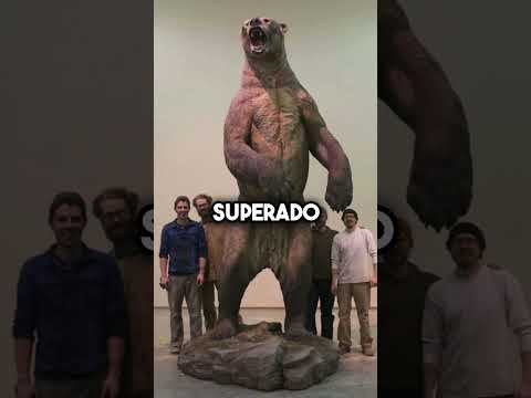 This was the biggest bear of all time 🤔🧸 #shorts