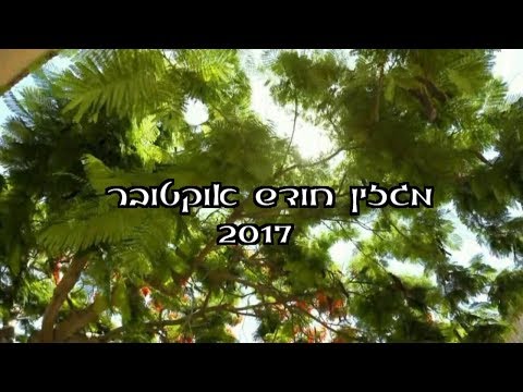 מגזין קריית ביאליק - ספטמבר 2017