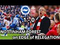 BRIGHTON BEAT NOTTINGHAM FOREST 1-0 | Brighton 1-0 Nottingham Forest | MATCHDAY VLOG BRIGHTON FOREST