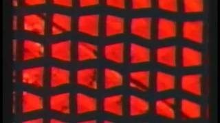 R. Stevie Moore - I Just Want To Feel You (1977)