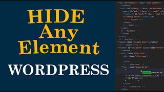 How to Hide Any Element on WordPress Website with CSS
